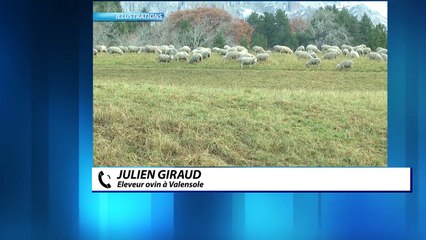 Julien Giraud éleveur ovin attaqué par le loup à Valensole