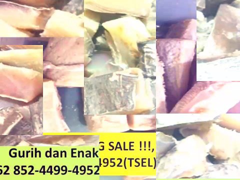 BIG SALE !!!, +62 852-4499-4952(TSEL), Salted Fish