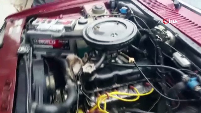Seyir halindeki aracın motorundan kedi çıktı