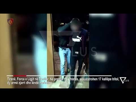 Depo armësh në Pezë Helmës, tritol, automatikë dhe drogë - News, Lajme - Vizion Plus