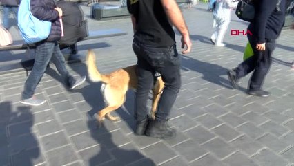 İstanbul'da Kurt Kapanı-27 Denetimi