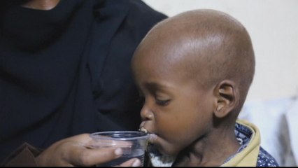 Saudi-UAE troops in Yemen preparing for major offensive