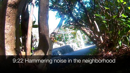 EDR November #2 Suspicious People: Frequent Going back and forth