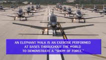 T-6 Texan II Aircraft Elephant Walk at JBSA Texas