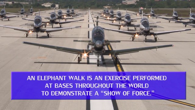 T-6 Texan II Aircraft Elephant Walk at JBSA Texas