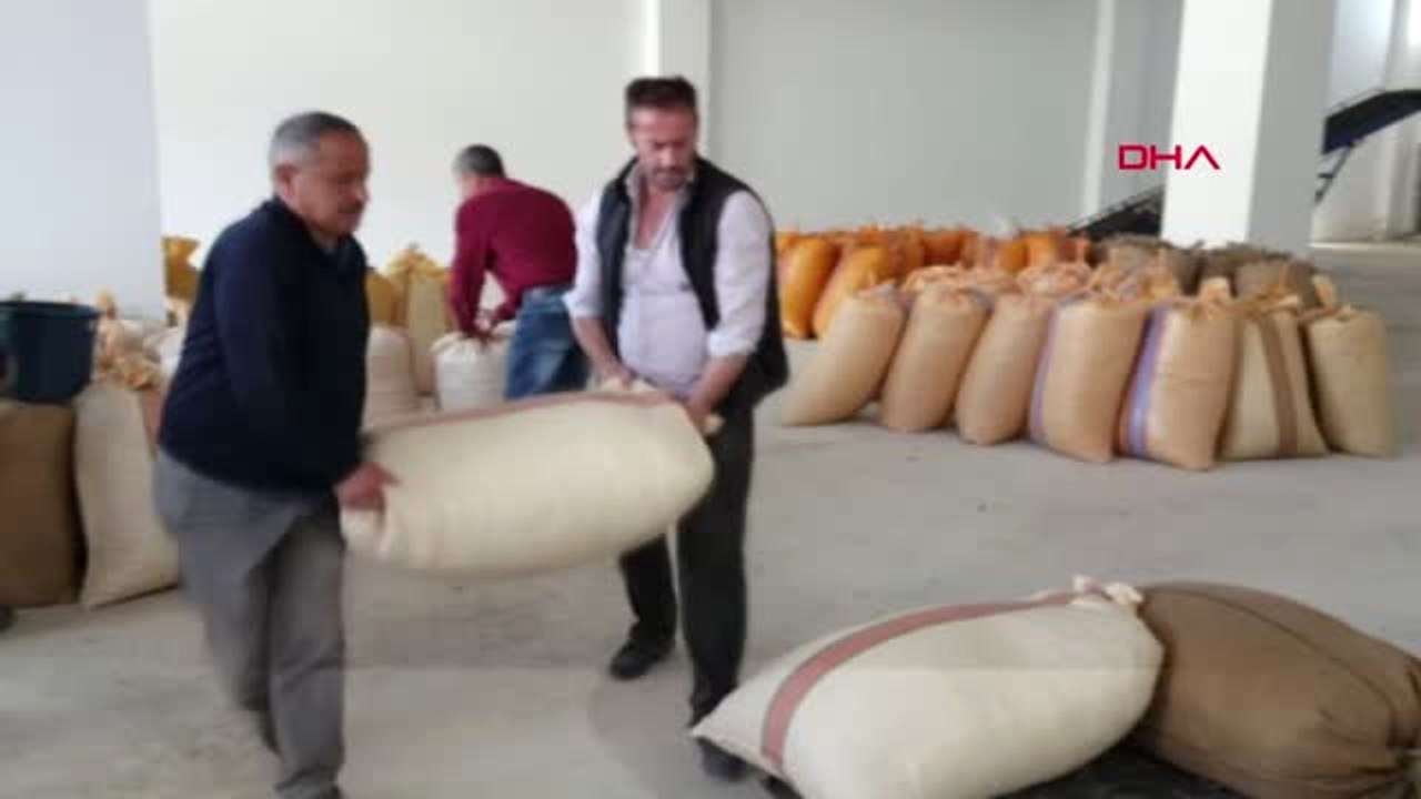 Ordu Tzob Yönetim Kurulu Üyesi Soydan Fındık Üreticisi Kazanmıştır