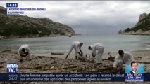 La plage de La Ciotat et plusieurs calanques interdites d'accès à cause de boulettes de pétrole