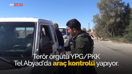 Arap toprağı Tel Abyad'da YPG/PKK zorbalığı