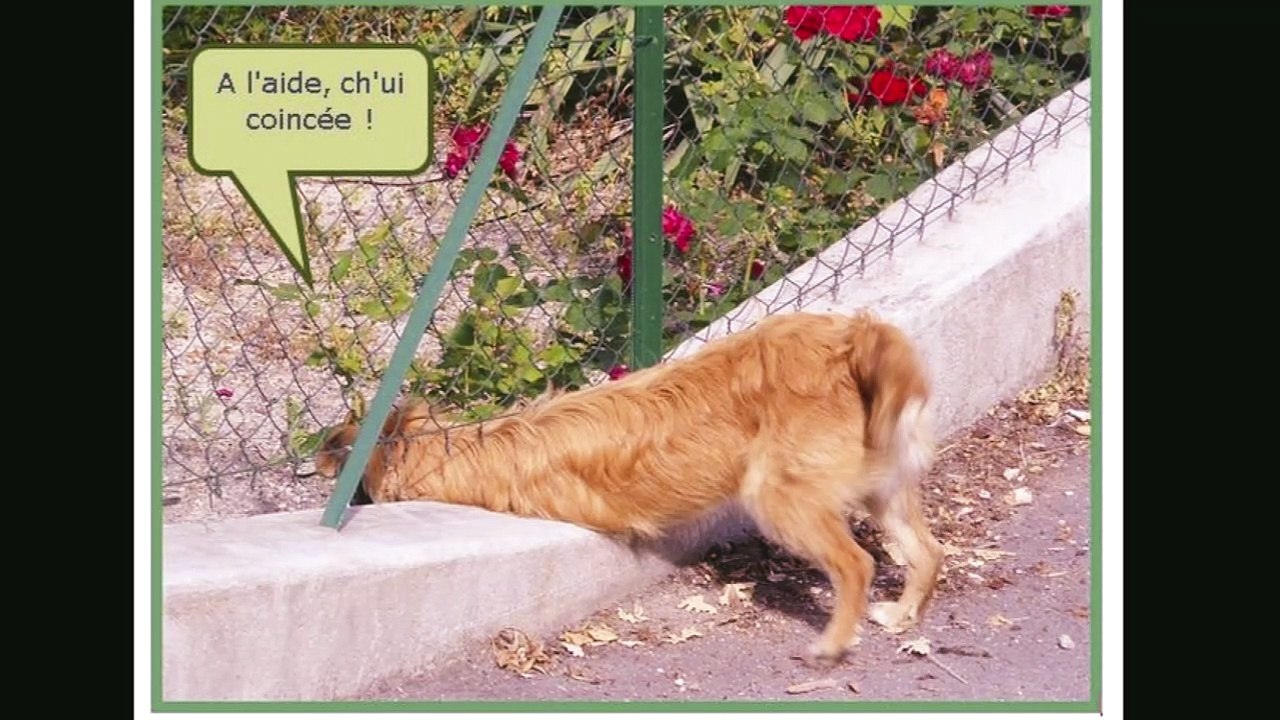 Diaporama d'octobre 2018