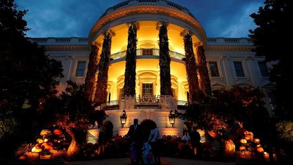 Halloween at the White House and underwater pumpkins: No Comments of the week