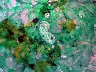 ウルトラマン80 第11話 (HD高画質)