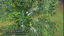 佛說輪轉五道罪福報應經-Aputi.com佛典動畫