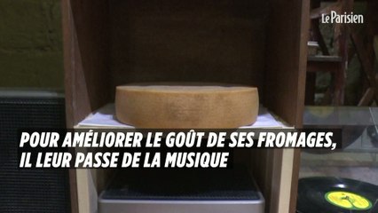 Suisse : il affine ses fromages en musique