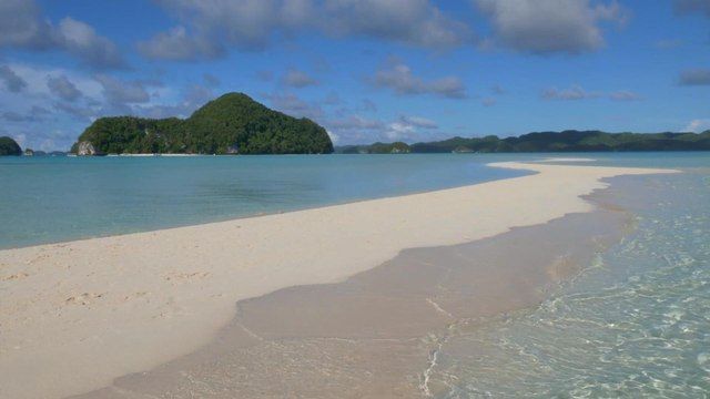 Palau to Ban Certain Sunscreens In Order to Protect Coral Reefs