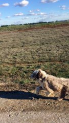 promenade 2nov18 chemin dunes