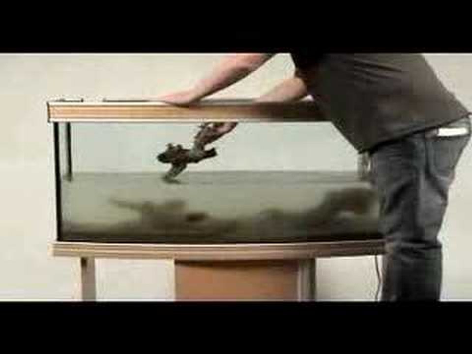 Setting up a large tropical freshwater aquarium