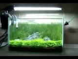 Practical Fishkeeping: George Farmer's nano tank