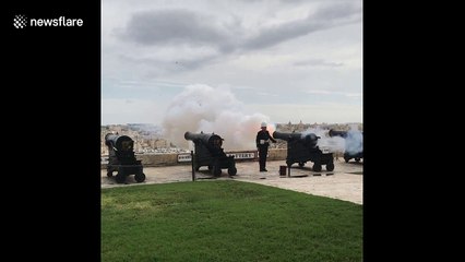 What are the odds?! Pigeons gets shot by cannon