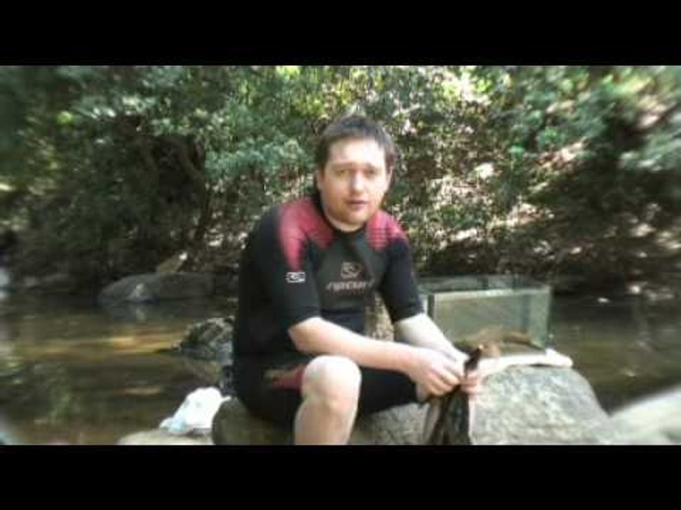 Practical Fishkeeping: Sri Lanka hillstreams