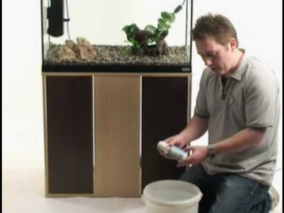 Beginner's guide to setting up an aquarium