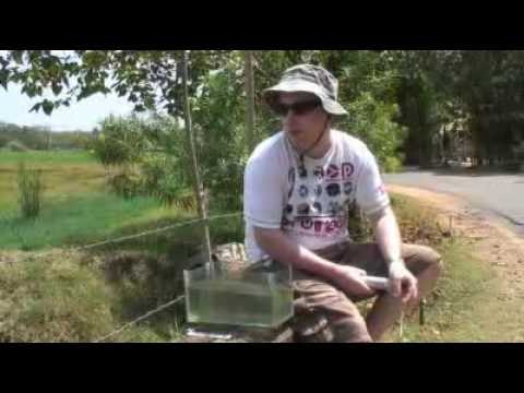 Practical Fishkeeping: Sri Lankan rice paddies