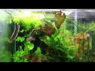 PFK Reader Visit   Feeding Time in Sean Evans Fish House