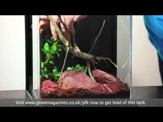 Setting up the SuperFish Wave 15 nano aquarium