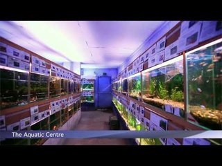 PFK Shoptour: The Aquatic Centre, Nottingham