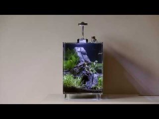 Betta Cube nano tank set-up