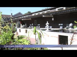 PFK shoptour: Greenmann Aquatics, Wimborne, Dorset
