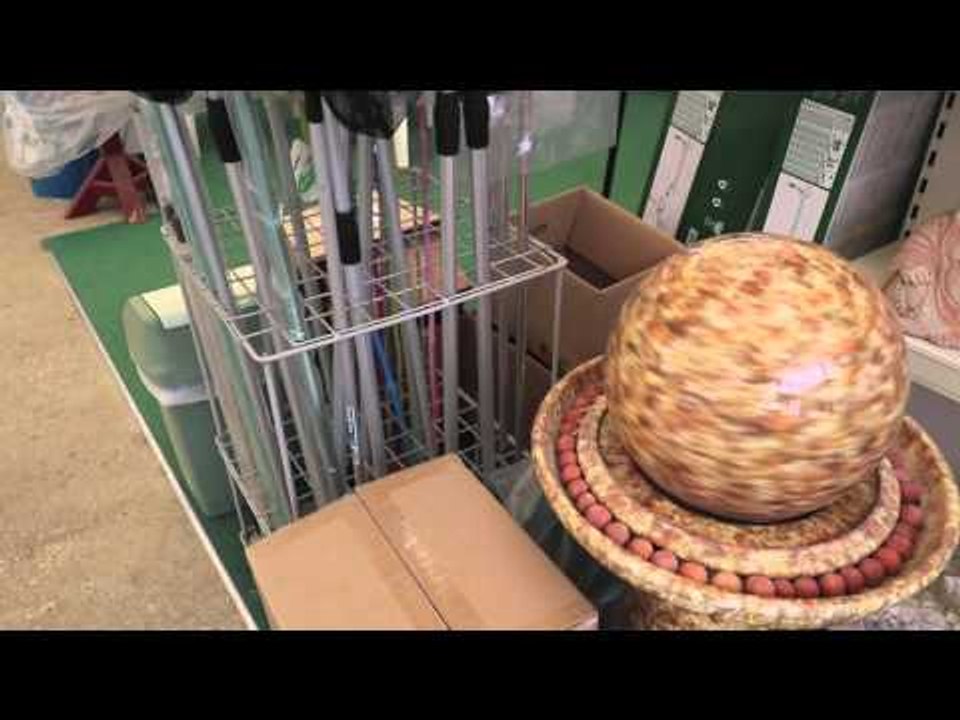 Shoptour - Fishes Galore