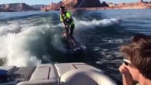 Un chien fan de sensations fortes fait du surf sur un lac...