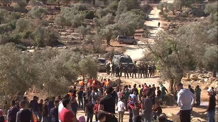 وعد بلفور.. مشروع استيطاني يلاحق الأراضي الفلسطينية