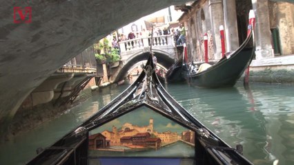 Vegan Daughter Threatened to Stab Mom Over Meat Sauce