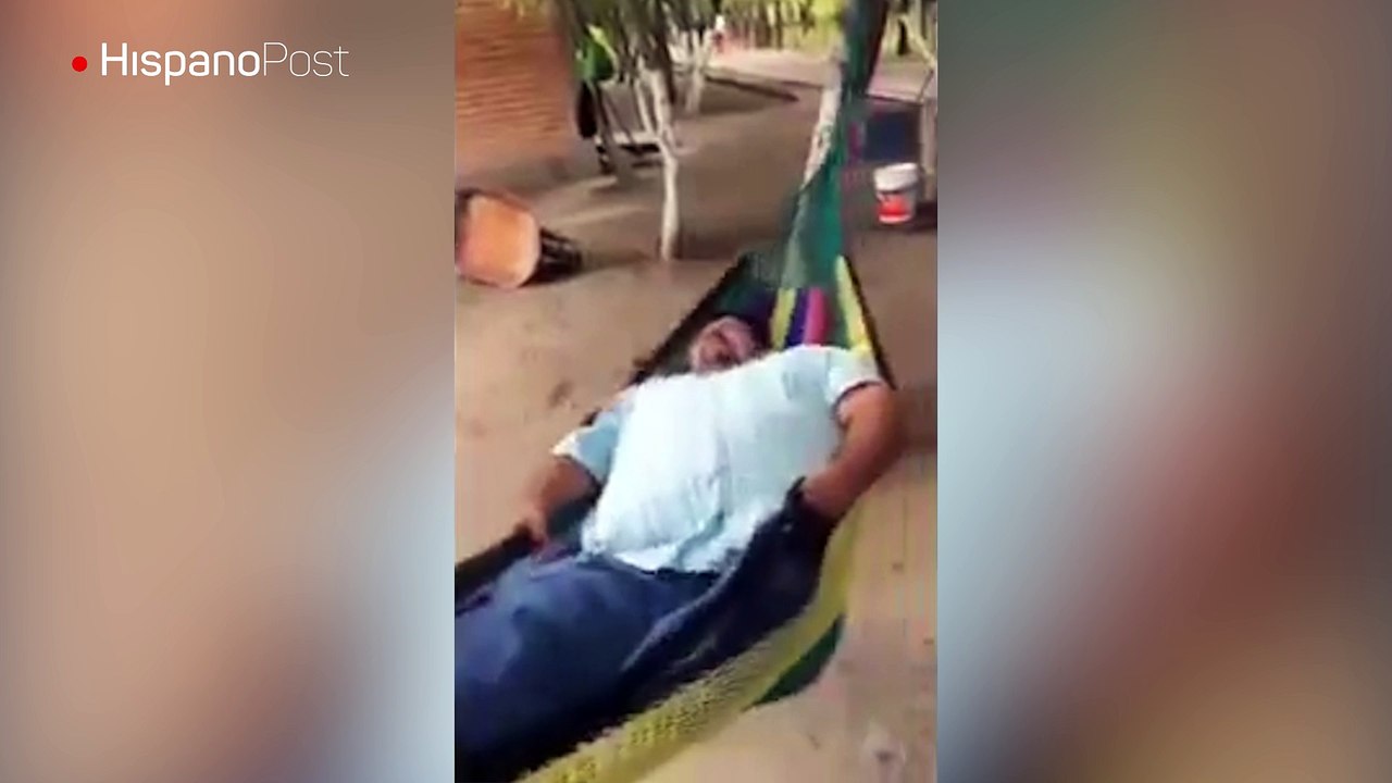 Amigos borrachos y una hamaca no siempre son una buena combinación