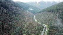Un drone filme les ravages de la tempête qui a frappée l'Italie en octobre