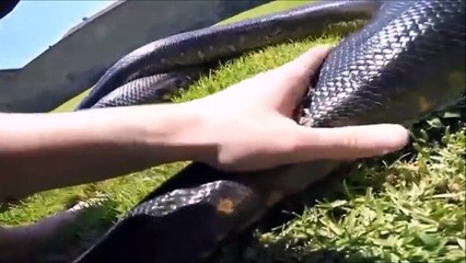 Download Video: Elle aide son python de 7m à muer. Magnifique