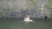 Elle saute à l'eau pour sauver un chien qui se noie... Héro du jour