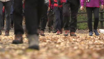 [날씨] 주말 맑고 일교차 커...오전까지 미세먼지↑ / YTN