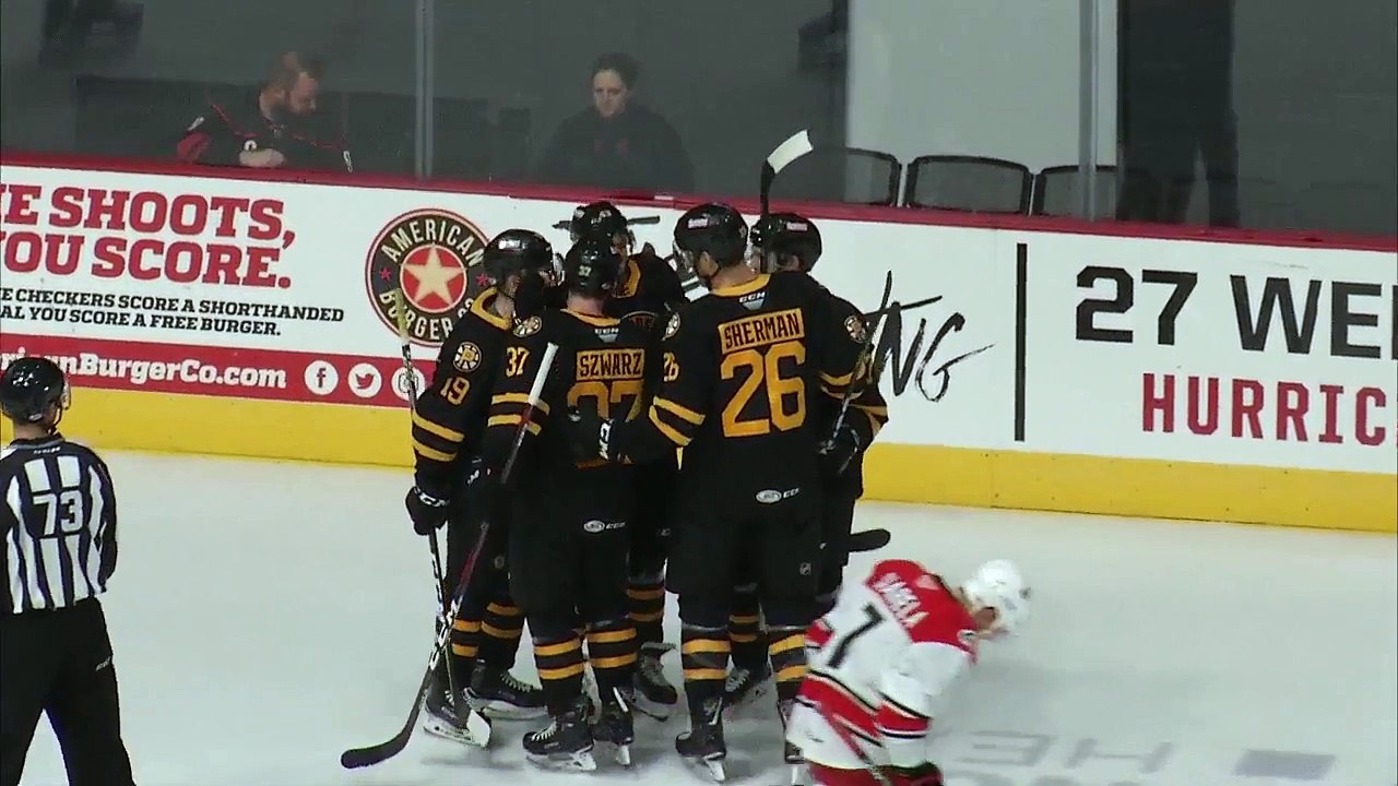 Charlotte Checkers 4 Providence Bruins 3 FINAL