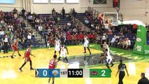 Celtics assignee Robert Williams III posts double-double in debut with Red Claws