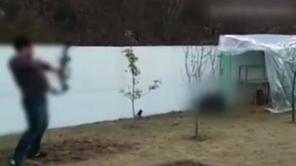 양진호 회장 '직함'의 아이러니...과태료 타격 '글쎄' / YTN