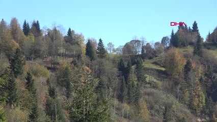 Ayı Saldırılarına Karşı Minareden Anonslu Uyarı