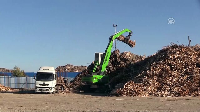 Fındık kabuğu ve mısır sapından elektrik üretiyorlar - ÇORUM