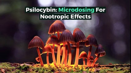 Microdosing Mushroom Explainer