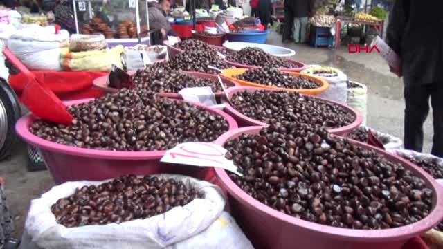 Sinop Erfelek Kestanesi Whatsapp Sipariş Hattı Üzerinden Satılıyor