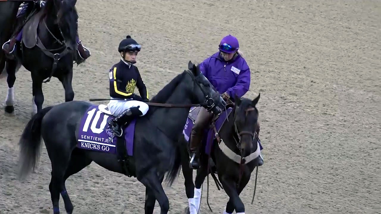 '닉스고' 경마올림픽 美 브리더스컵 준우승 쾌거 / YTN