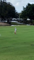 Ce golfeur se fait harceler par des oiseaux très en colère