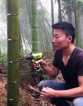 ELE FUROU O BAMBU E OLHE SÓ O QUE TINHA DENTRO! VOCÊ NÃO VAI ACREDITA!!!