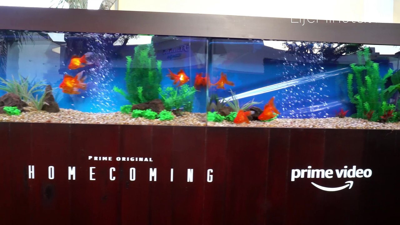 "Best Friends" Julie Roberts and Dermot Mulroney Reunite at Homecoming Premiere